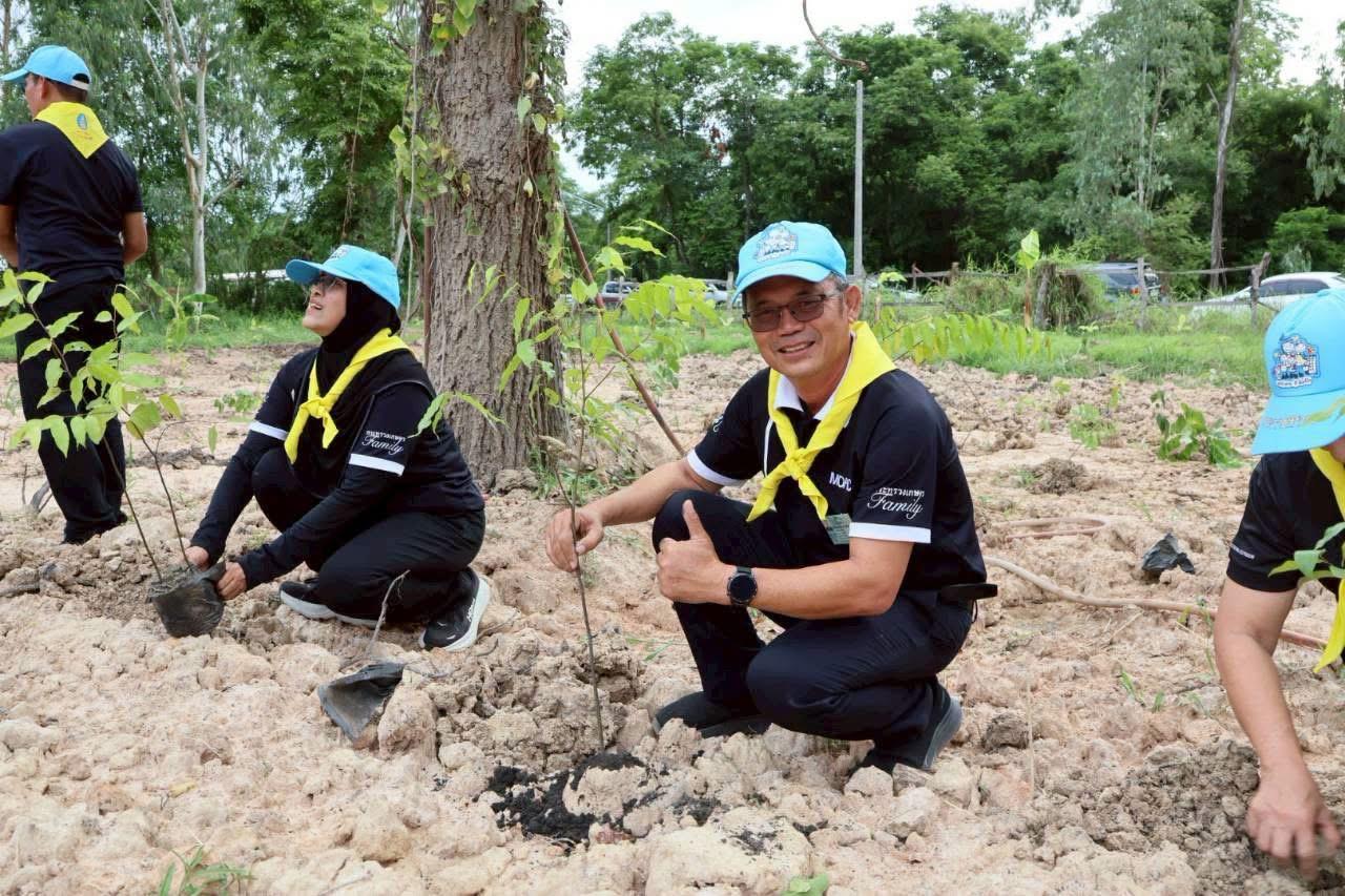 ภาพประกอบที่ 15