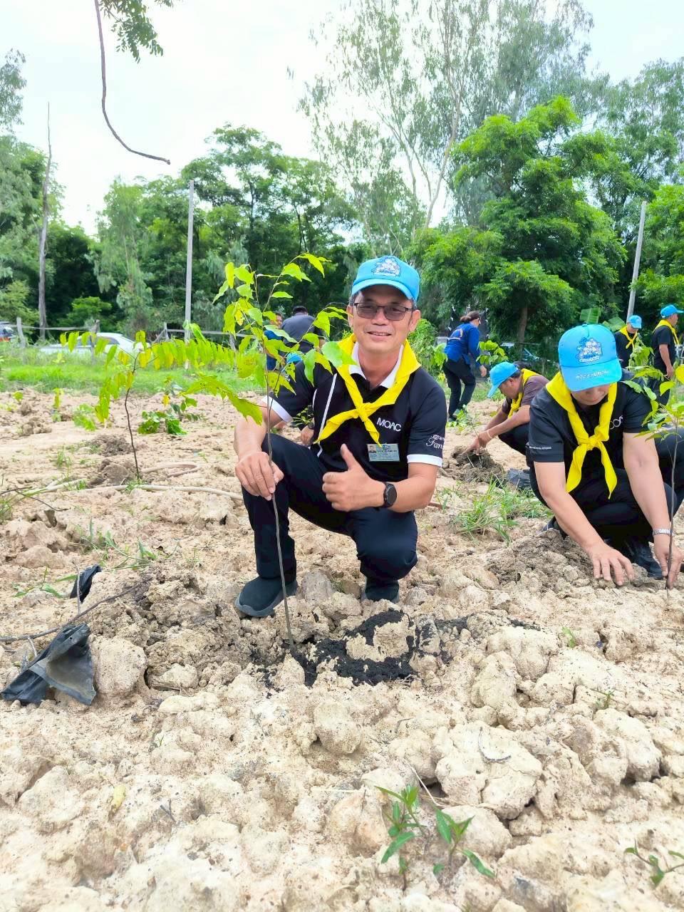 ภาพประกอบที่ 16