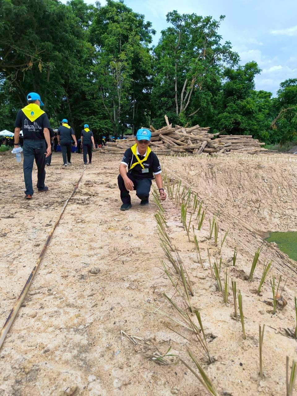 ภาพประกอบที่ 17