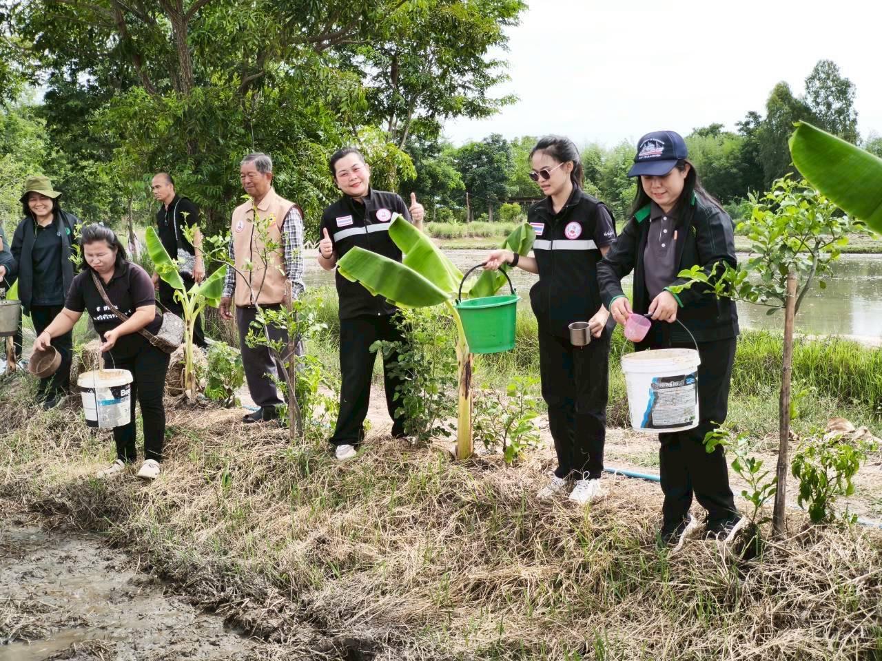 ภาพประกอบที่ 4