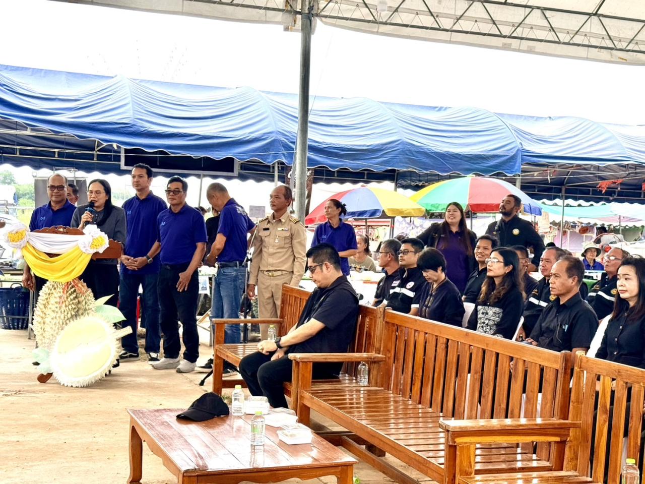 ภาพประกอบที่ 12