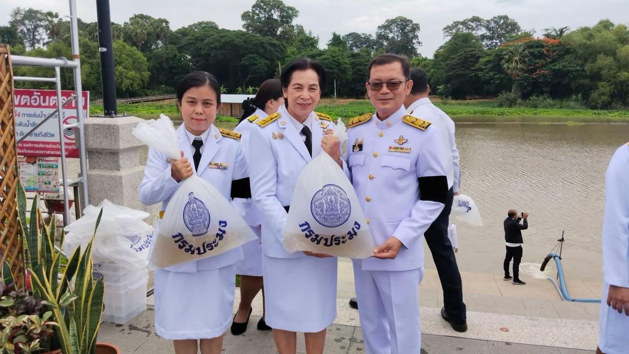 ภาพประกอบที่ 12