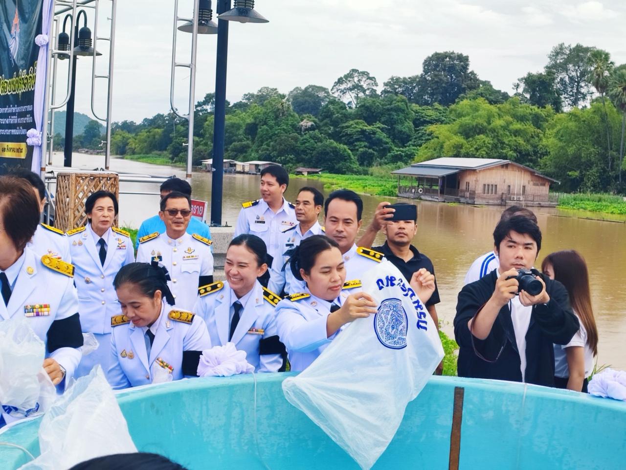 ภาพประกอบที่ 8