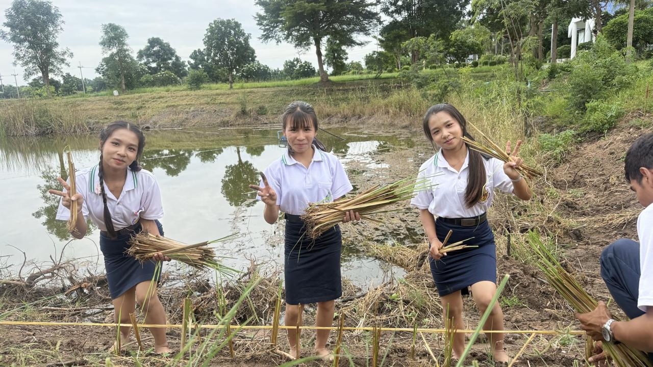 ภาพประกอบที่ 13