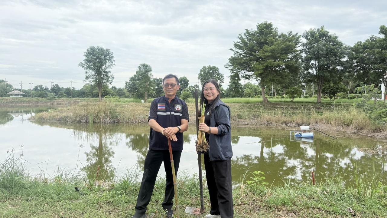 ภาพประกอบที่ 3