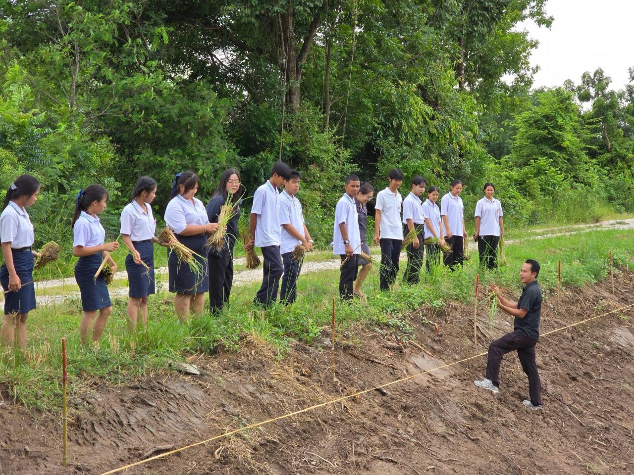 ภาพประกอบที่ 7