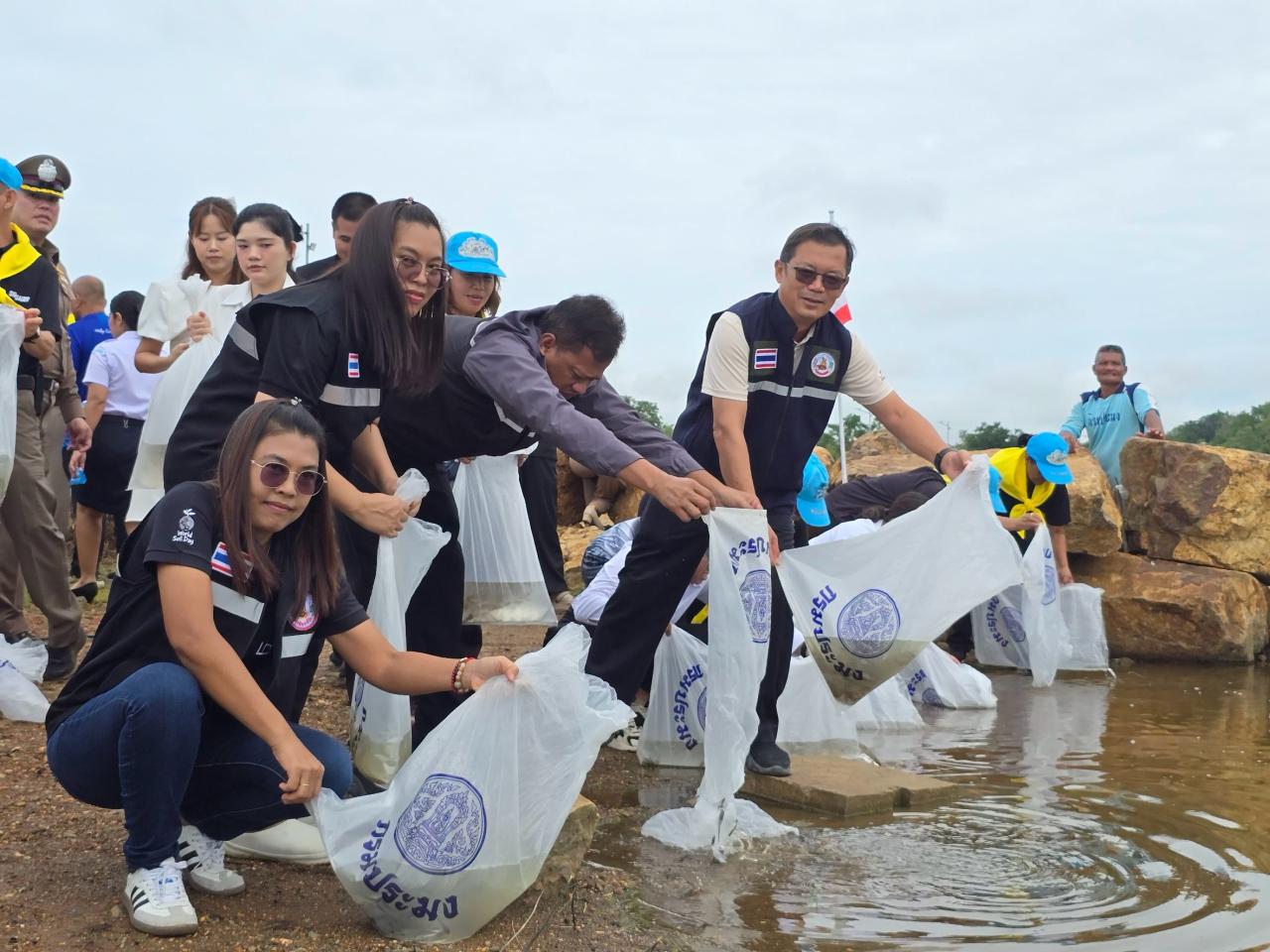 ภาพประกอบที่ 8
