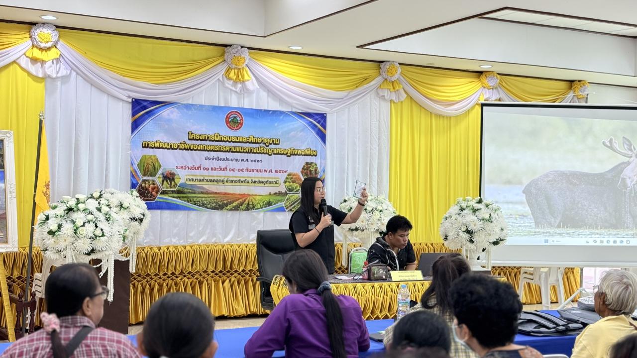 ภาพประกอบที่ 0
