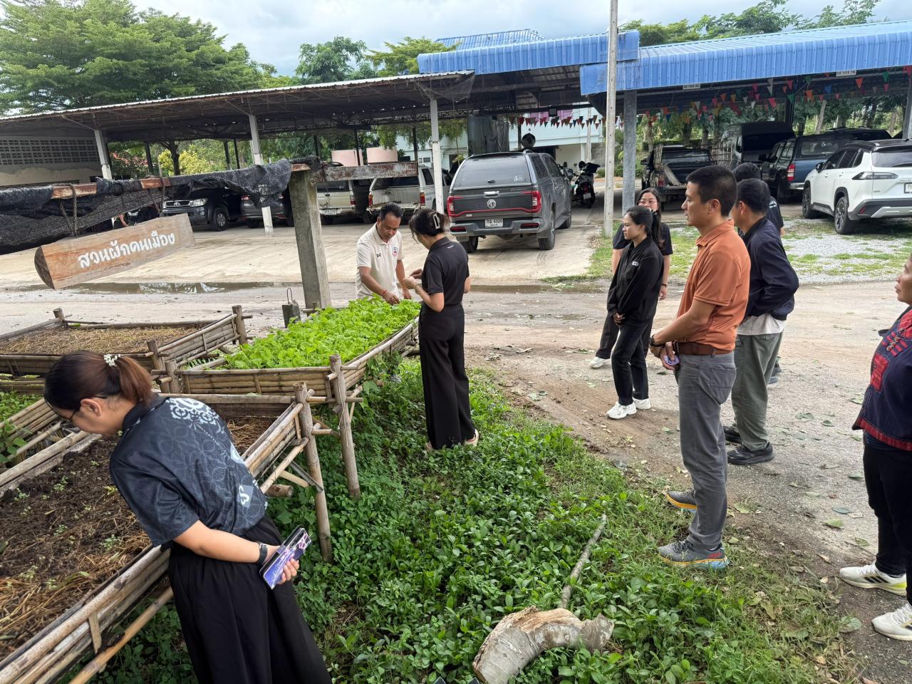 ภาพประกอบที่ 17
