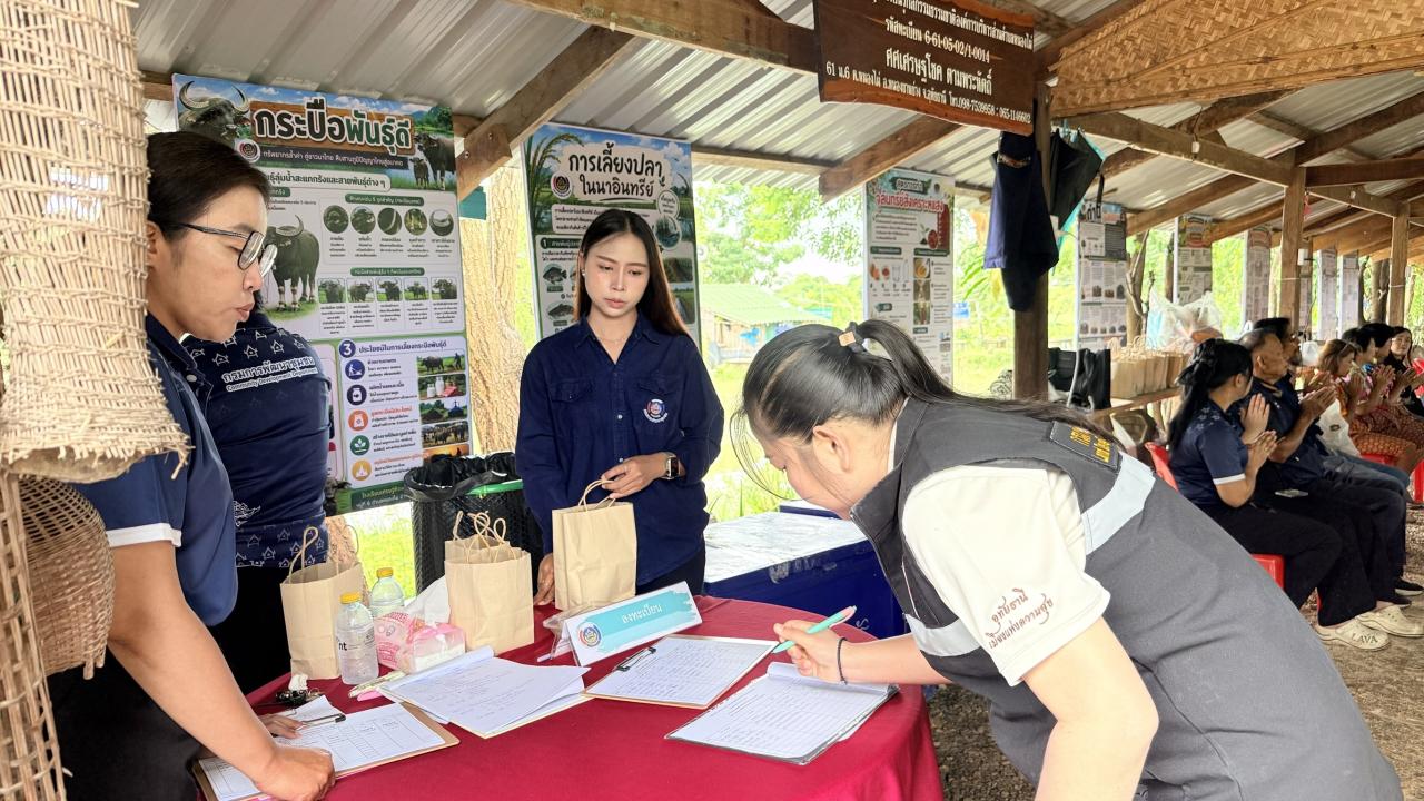 ภาพประกอบที่ 3