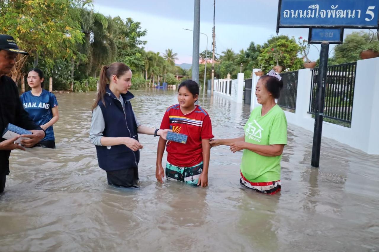 ภาพประกอบที่ 12