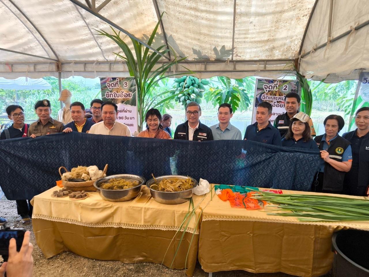 ภาพประกอบที่ 5