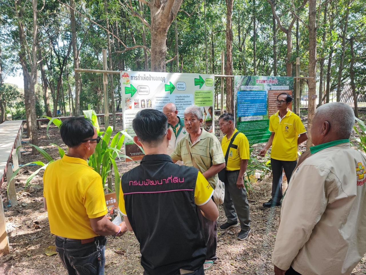 ภาพประกอบที่ 7