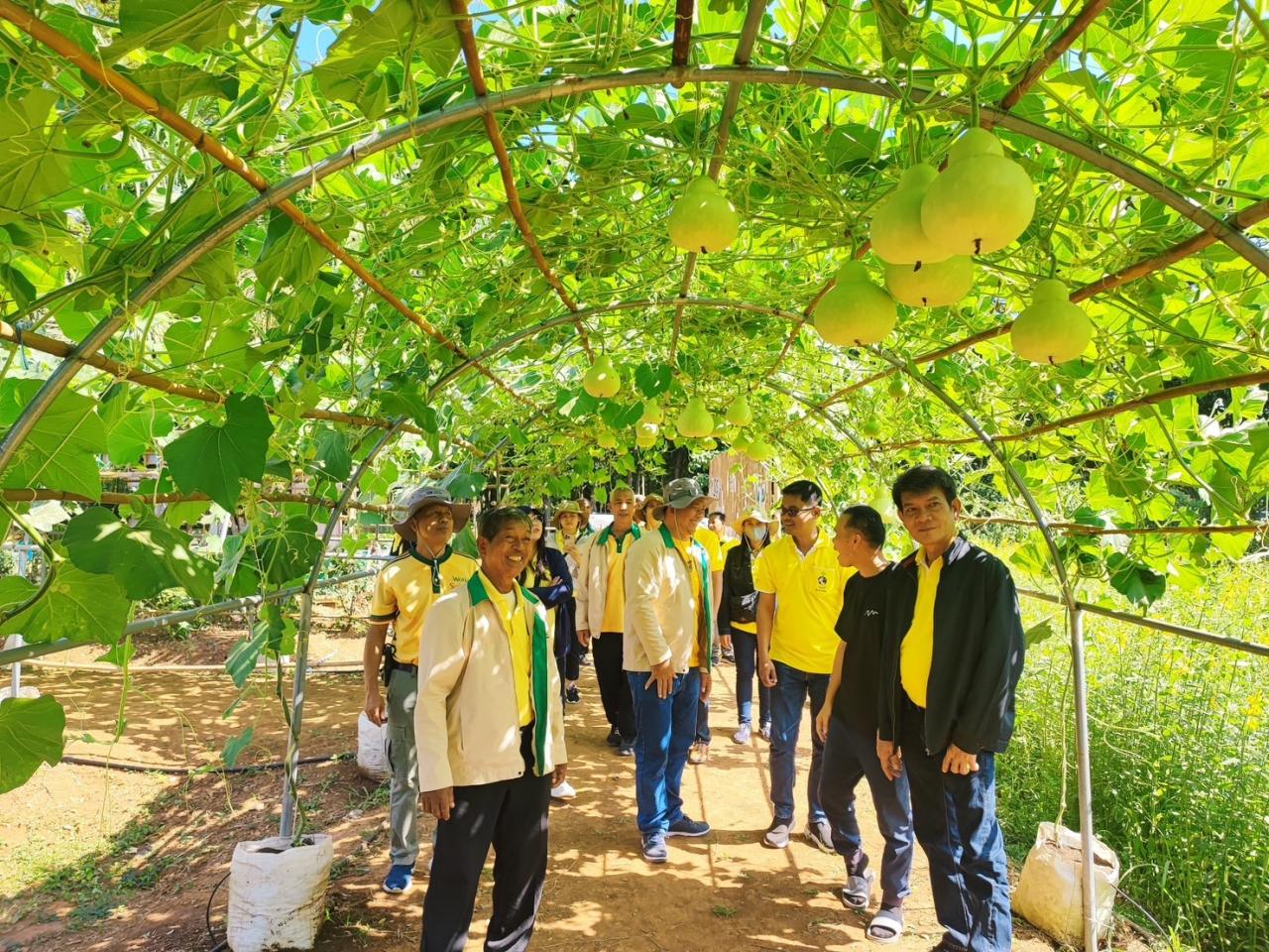 ภาพประกอบที่ 11