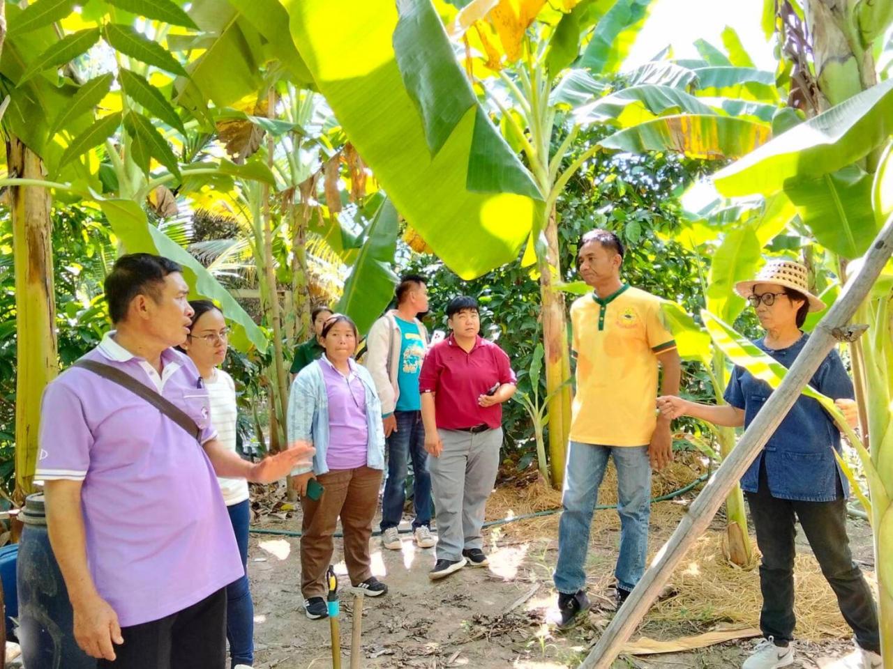ภาพประกอบที่ 4