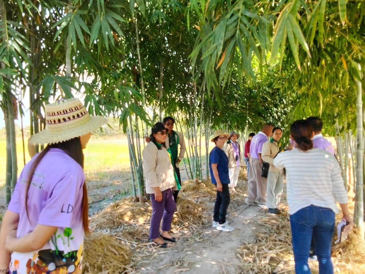 ภาพประกอบที่ 5