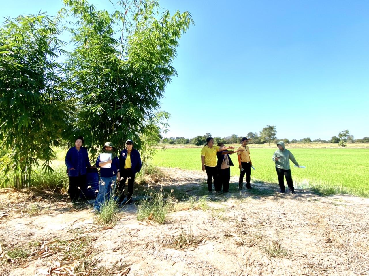 ภาพประกอบที่ 8