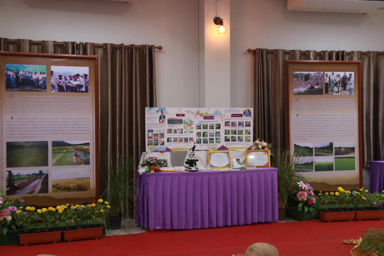 ภาพประกอบที่ 11