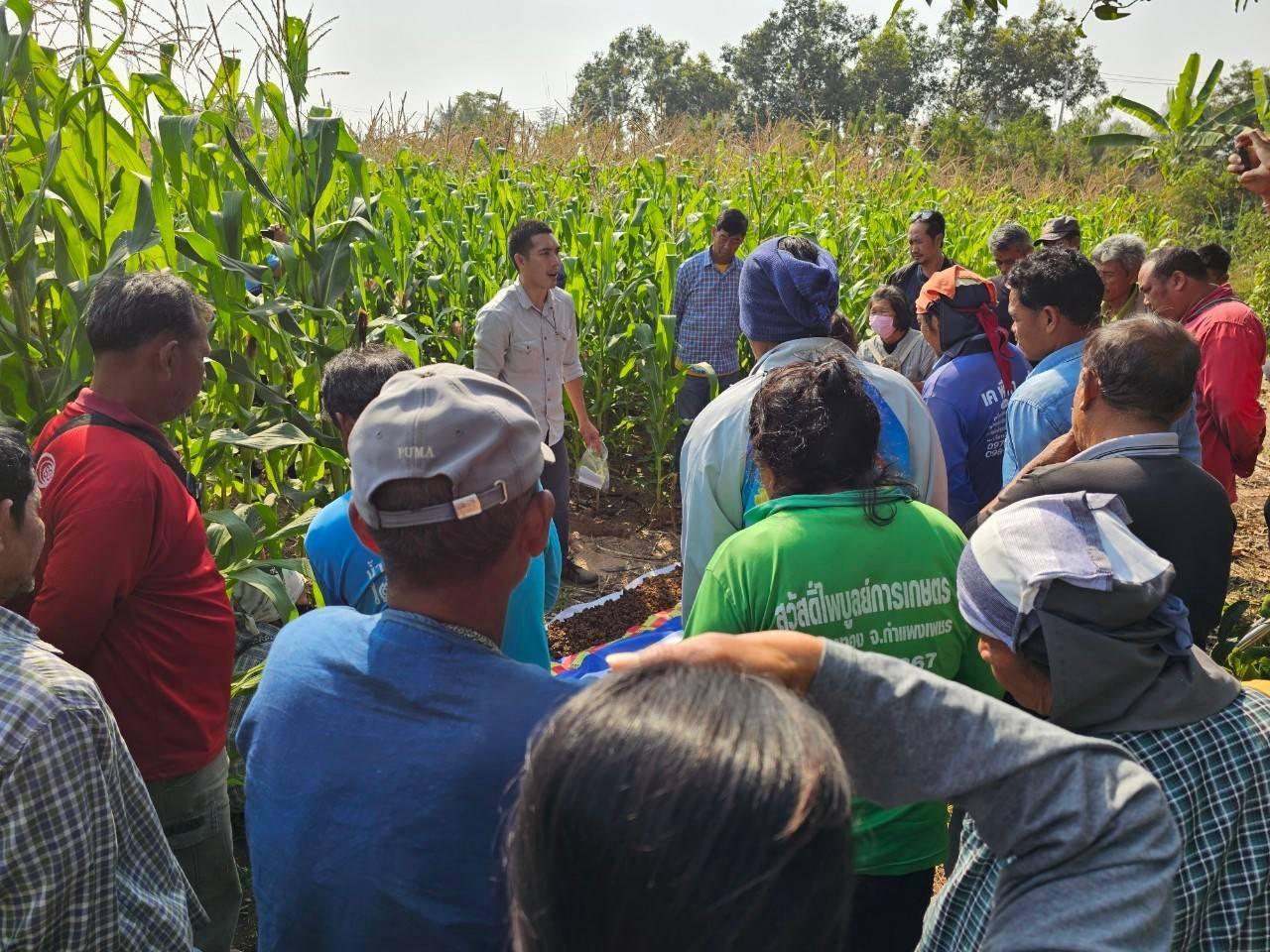 ภาพประกอบที่ 2