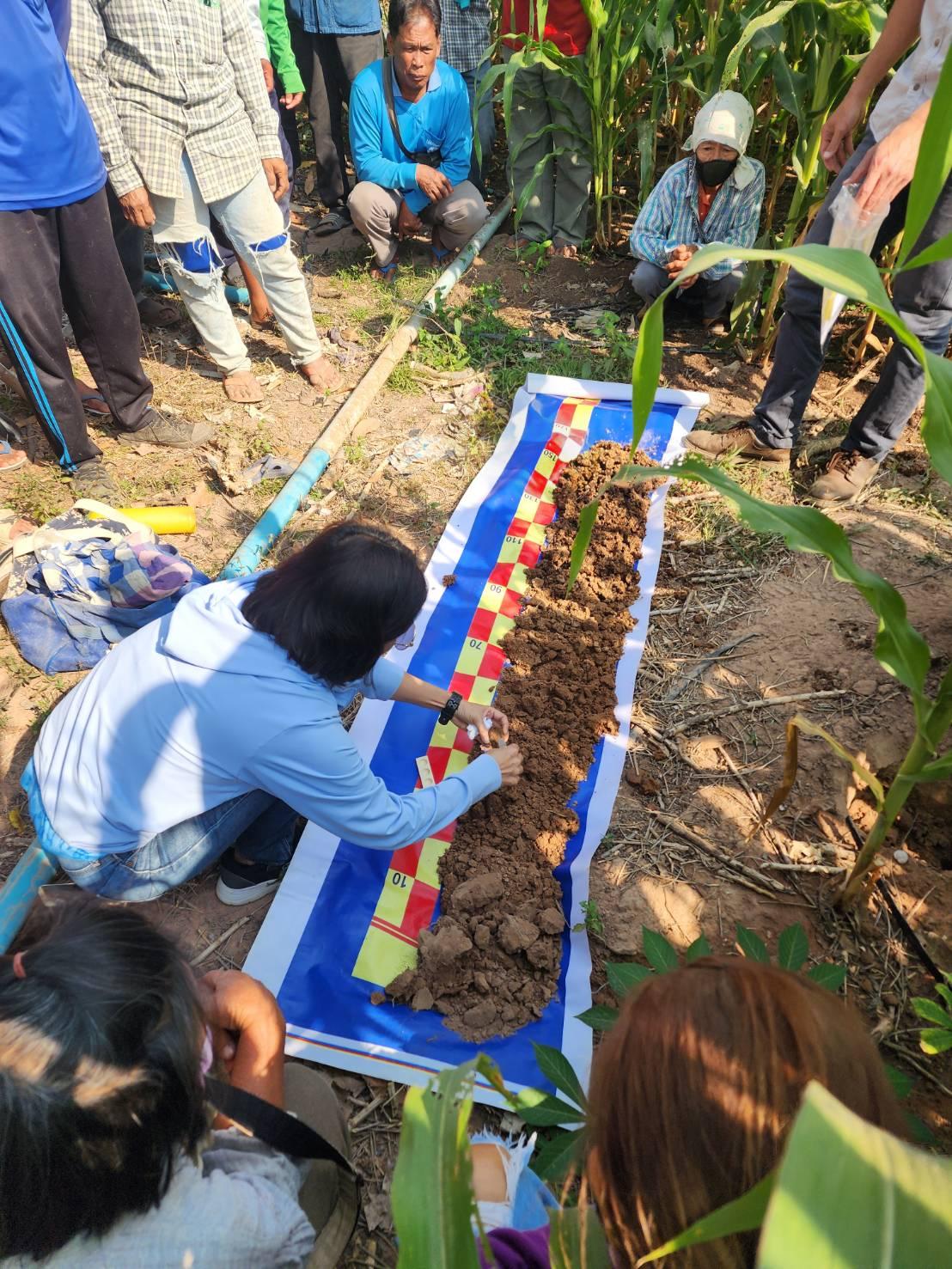 ภาพประกอบที่ 3