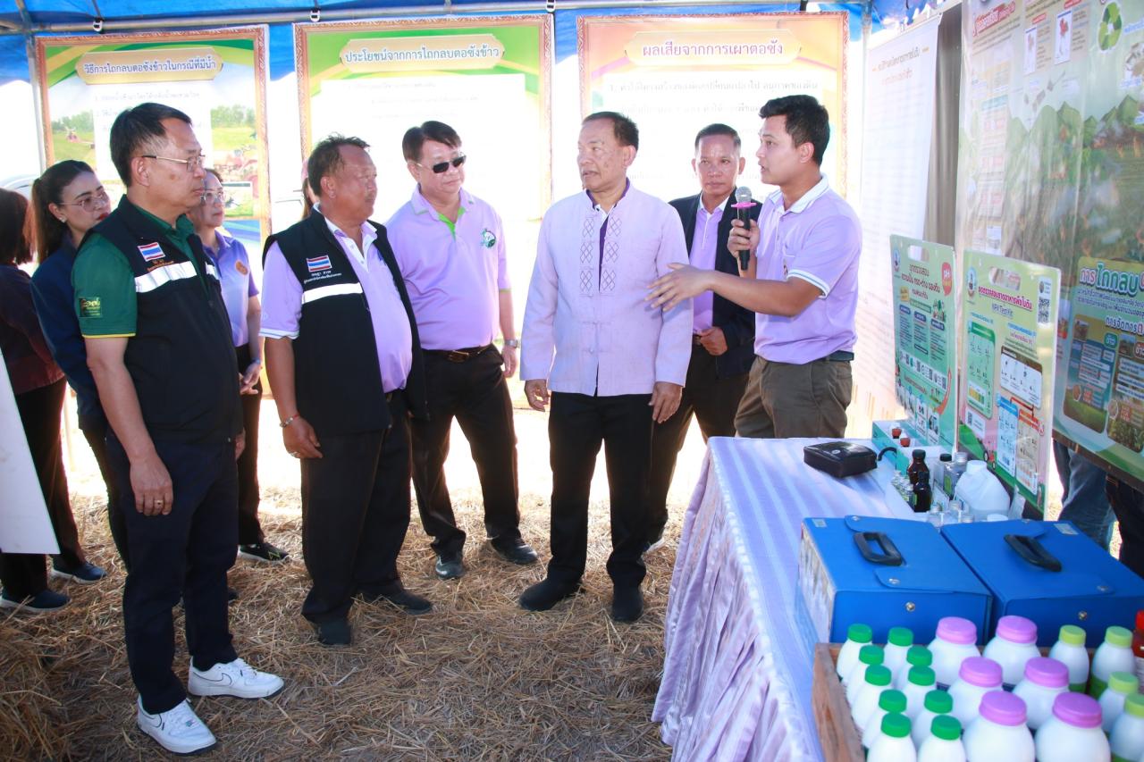 ภาพประกอบที่ 8