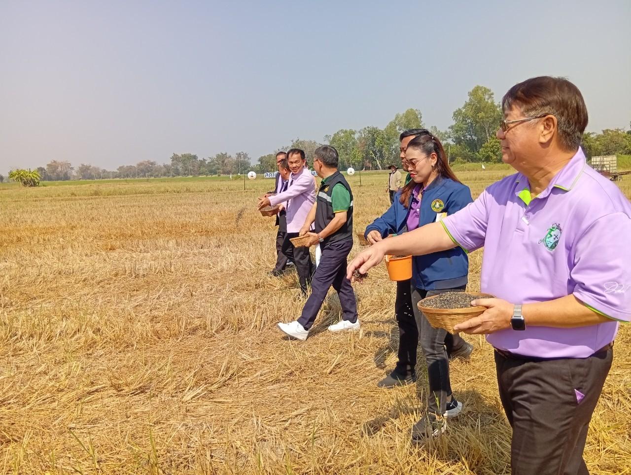 ภาพประกอบที่ 6