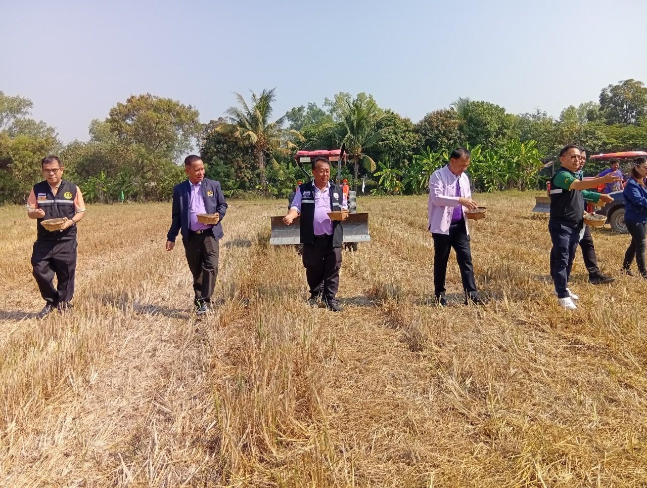 ภาพประกอบที่ 5