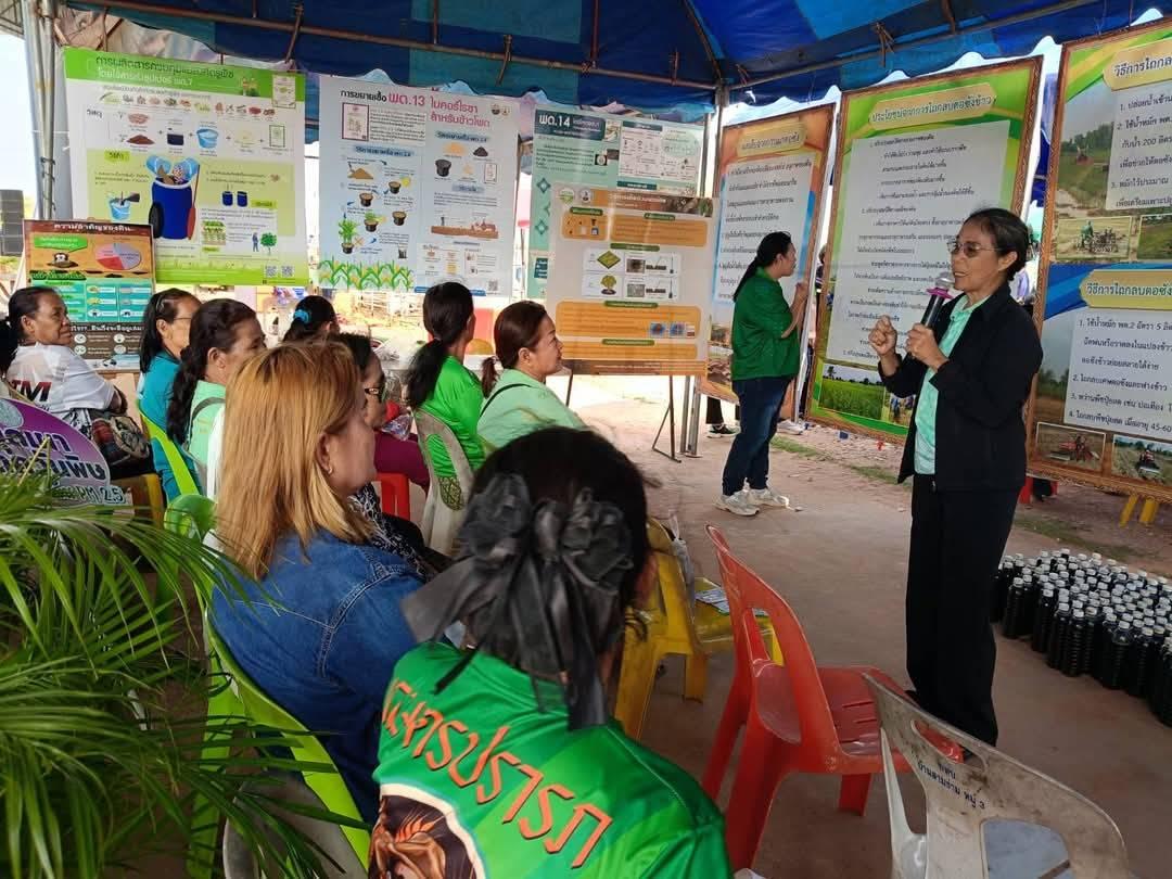 ภาพประกอบที่ 4