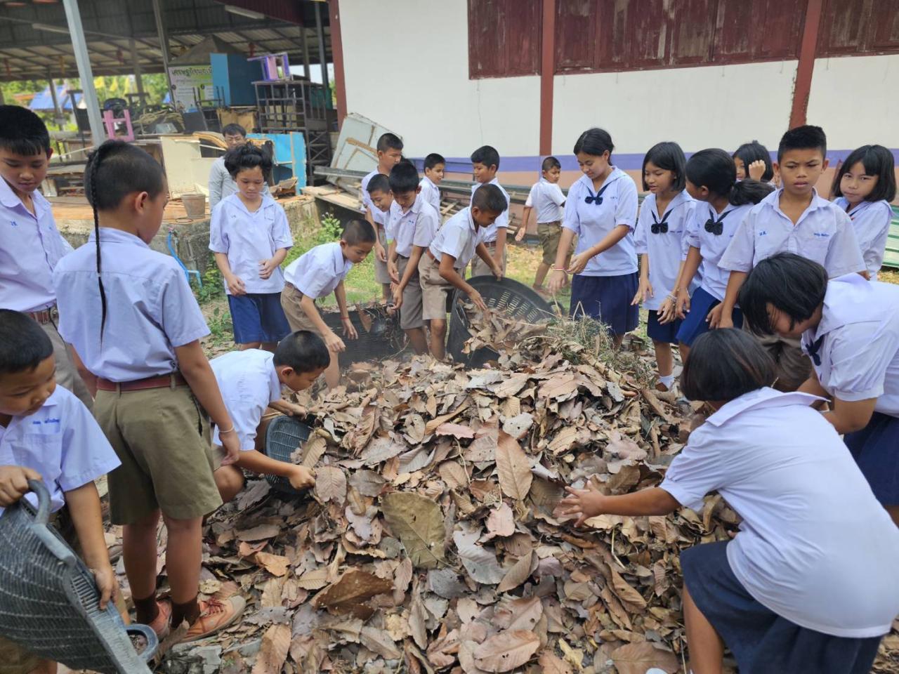ภาพประกอบที่ 4