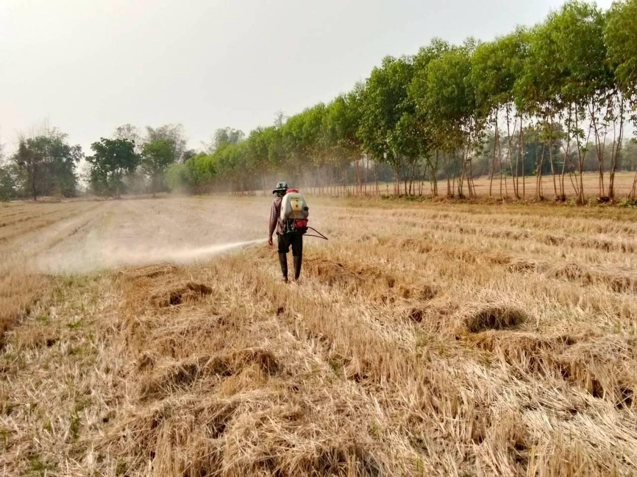 ภาพประกอบที่ 9