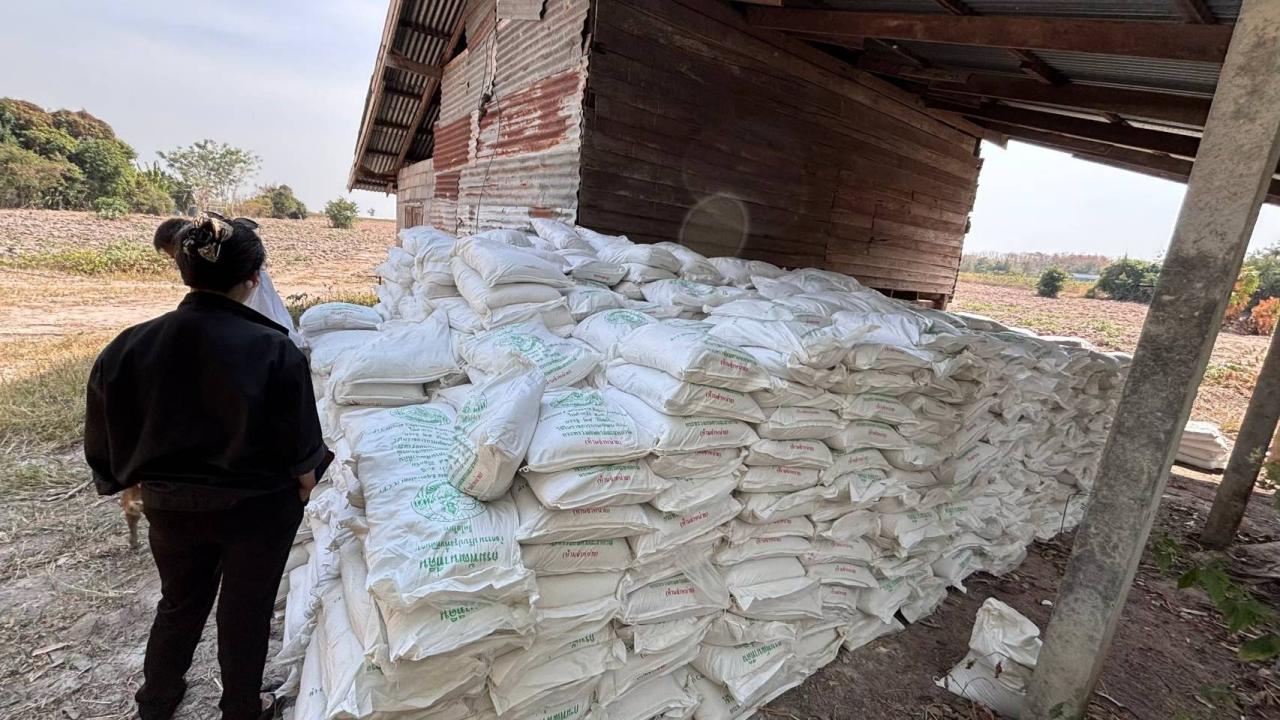 ภาพประกอบที่ 2