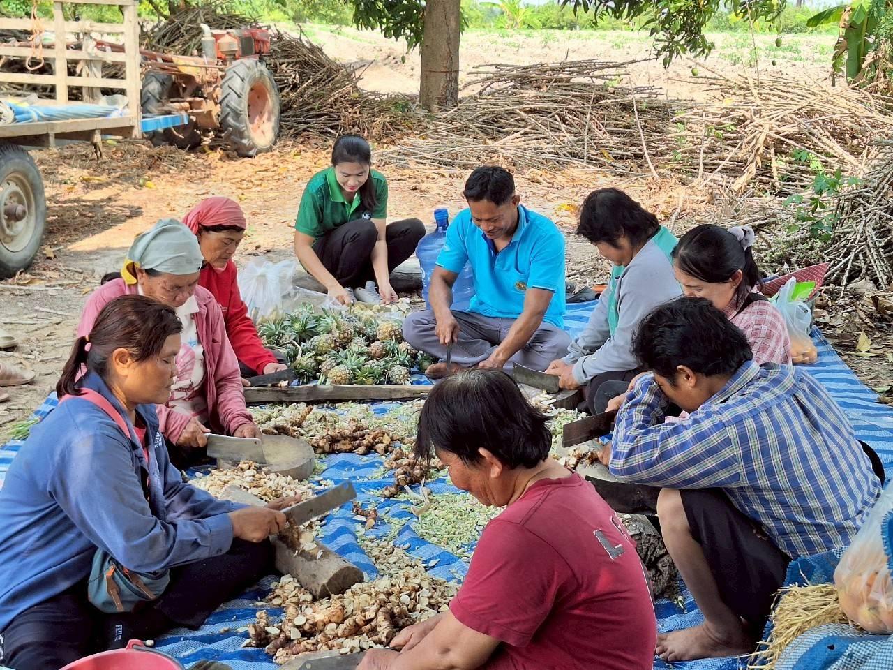 ภาพประกอบที่ 5