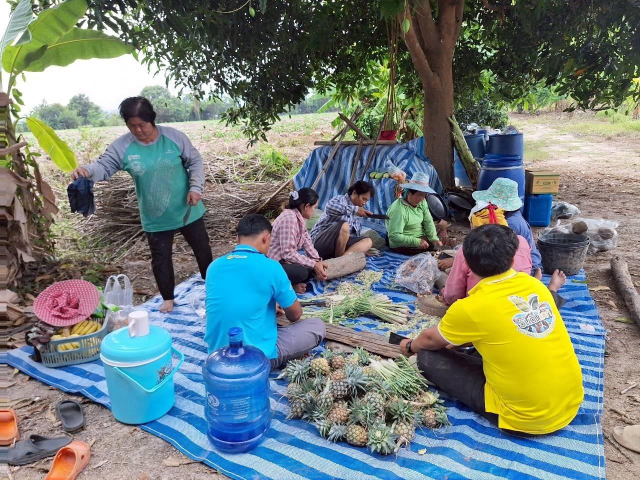 ภาพประกอบที่ 4