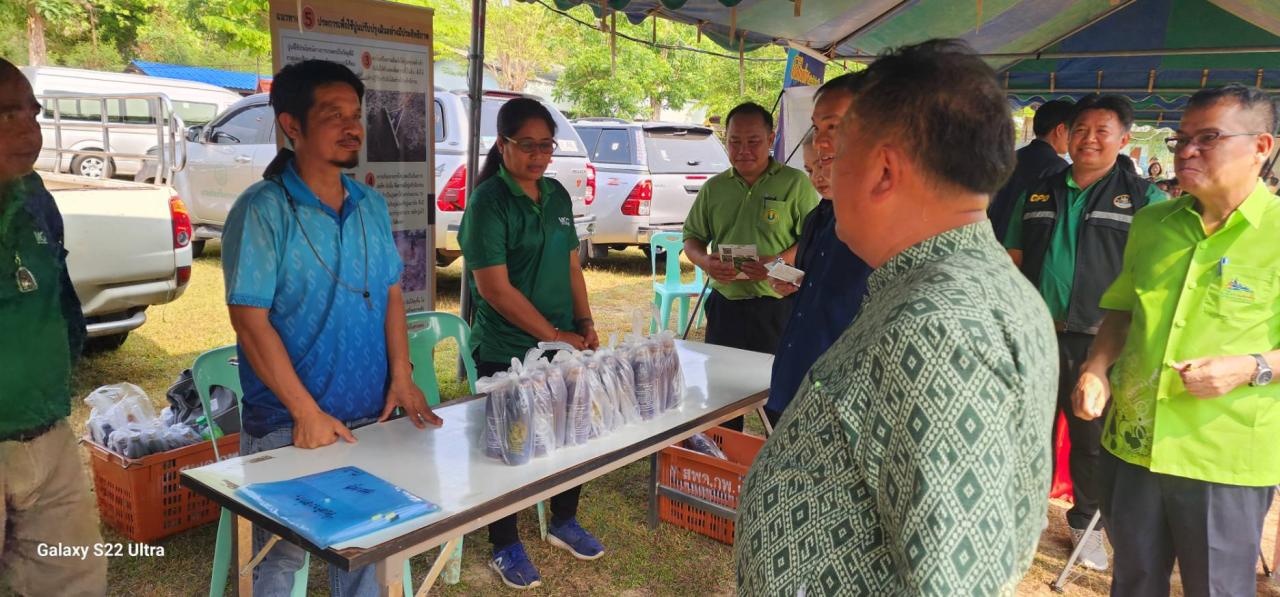 ภาพประกอบที่ 3