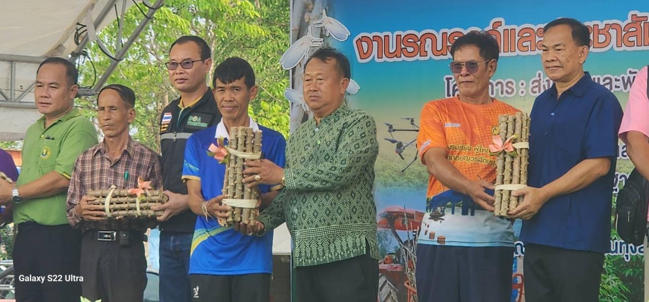 ภาพประกอบที่ 1