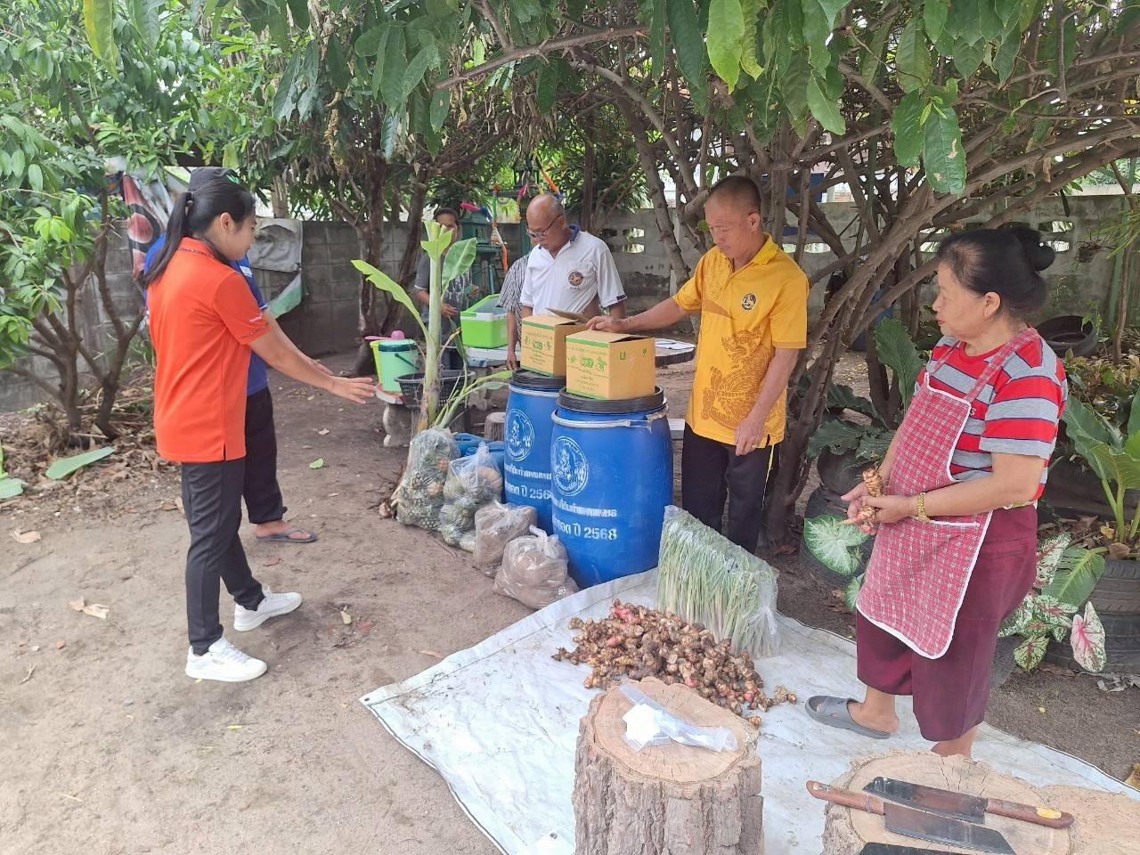 ภาพประกอบที่ 1