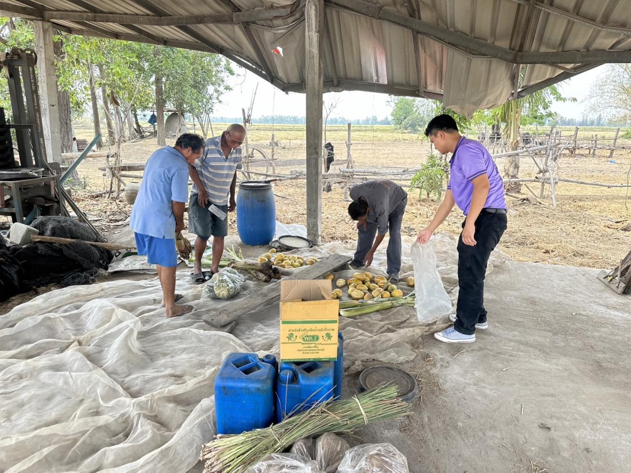 ภาพประกอบที่ 2