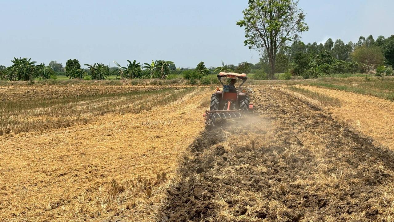 ภาพประกอบที่ 7