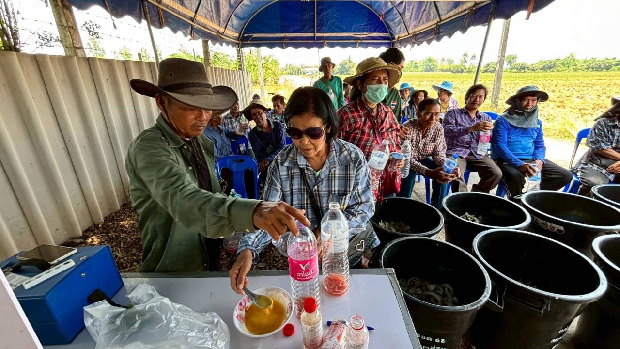 ภาพประกอบที่ 3