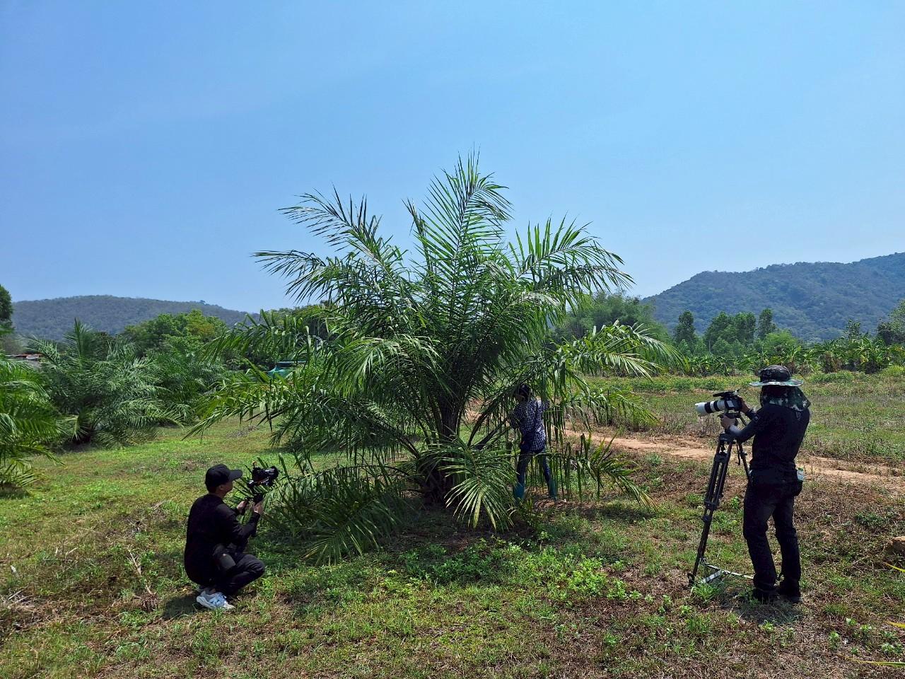 ภาพประกอบที่ 8