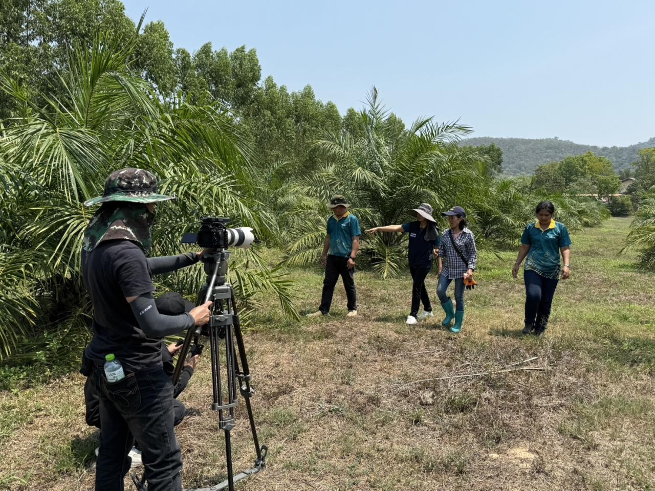 ภาพประกอบที่ 7