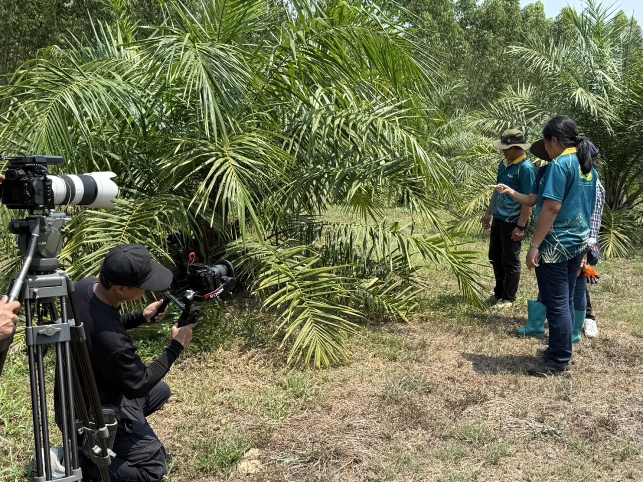 ภาพประกอบที่ 5