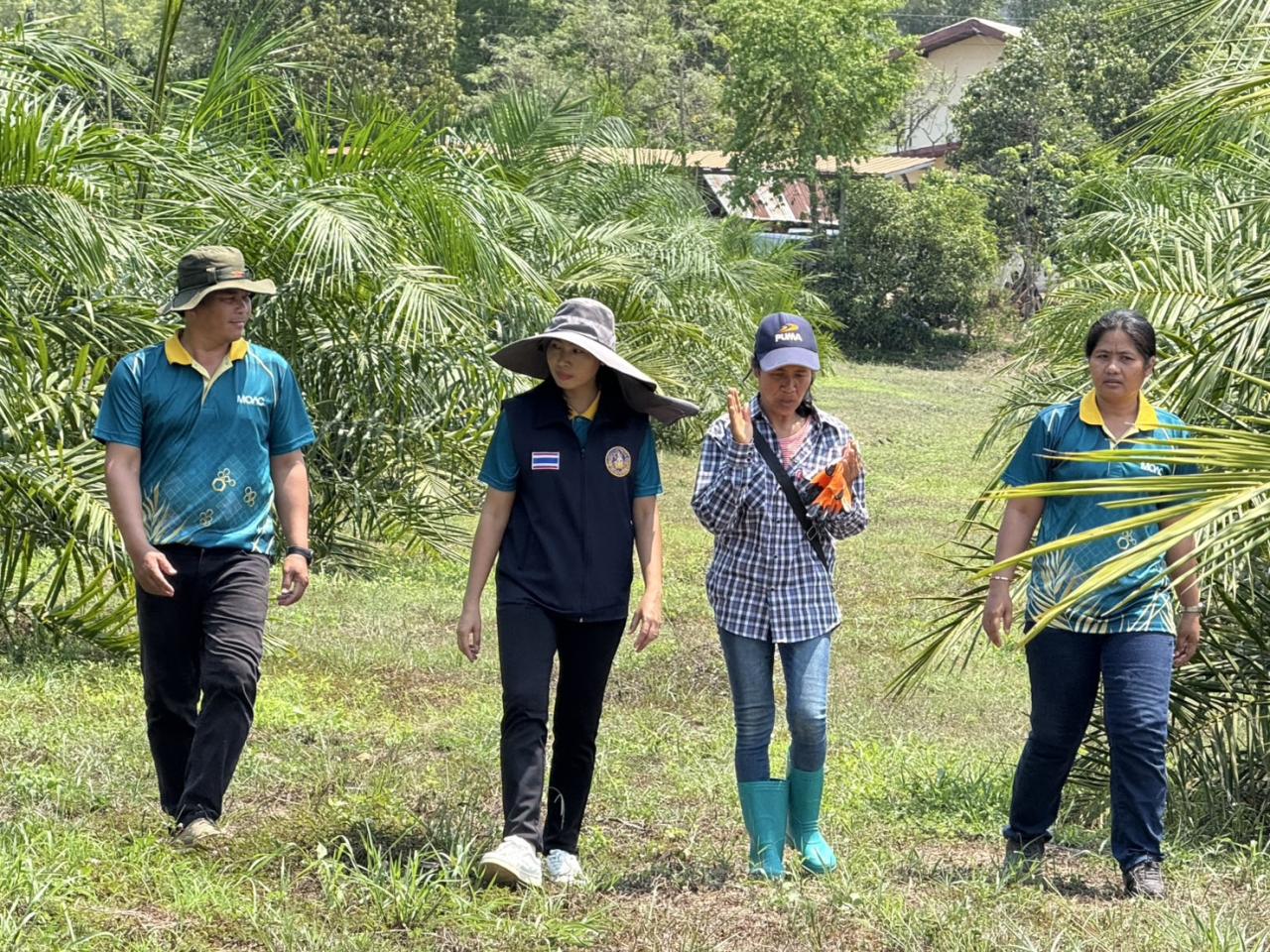 ภาพประกอบที่ 4