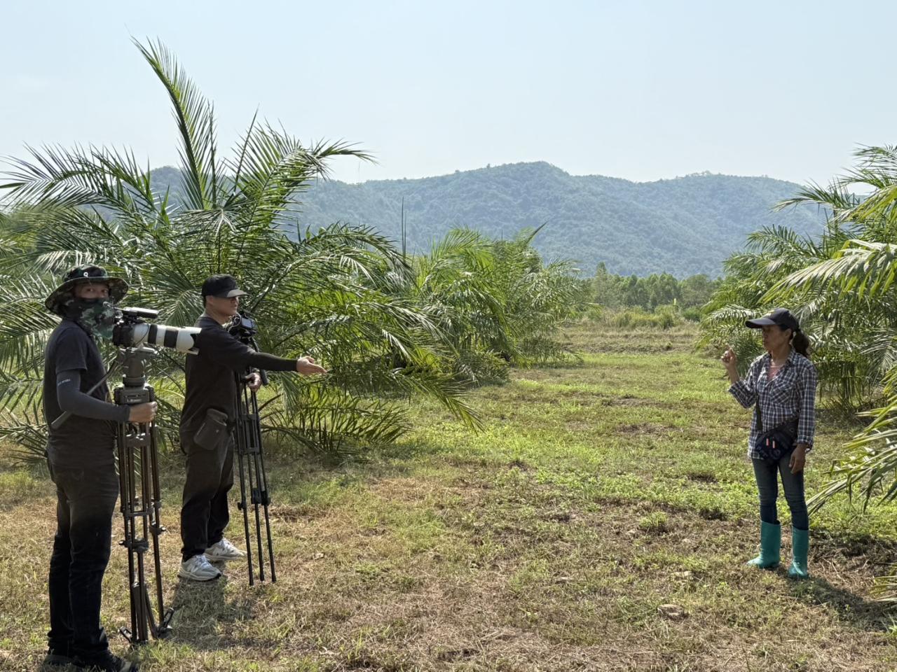 ภาพประกอบที่ 3