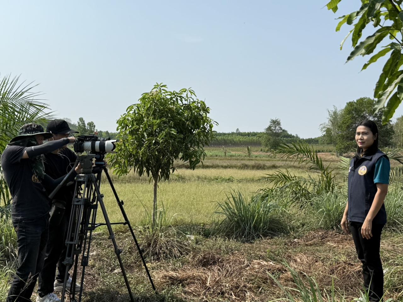 ภาพประกอบที่ 2