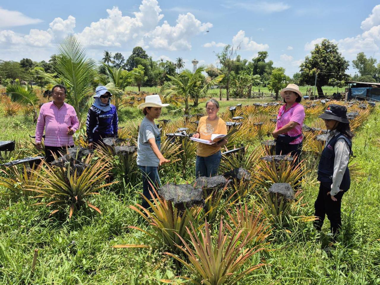 ภาพประกอบที่ 5