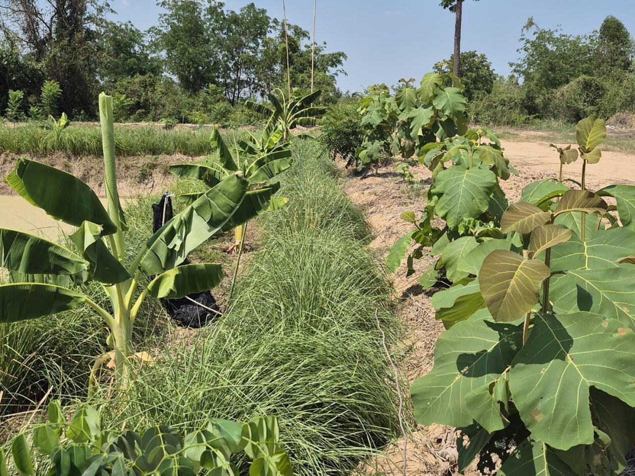 ภาพประกอบที่ 2