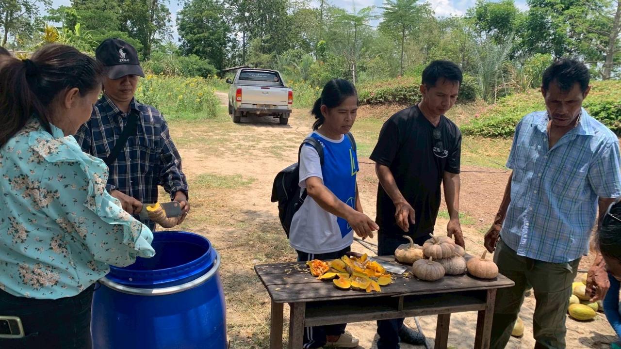 ภาพประกอบที่ 4