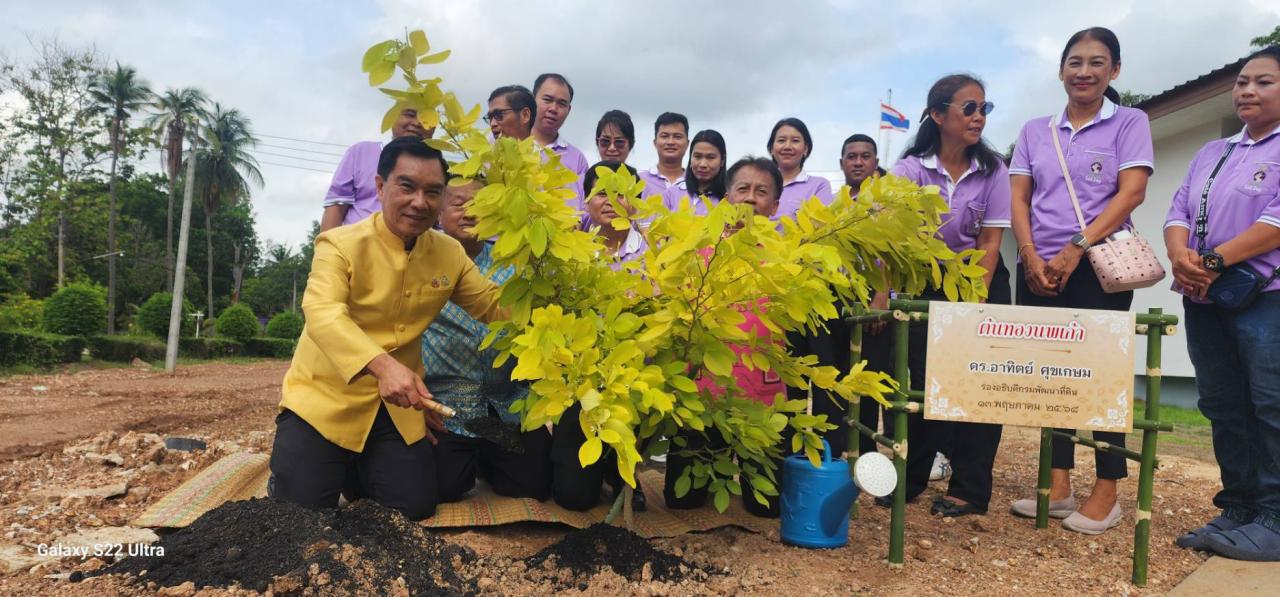 ภาพประกอบที่ 13