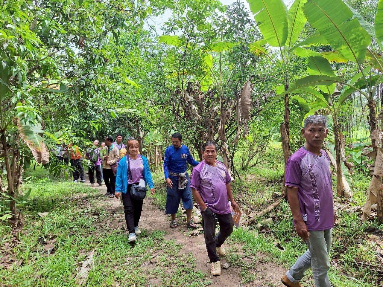 ภาพประกอบที่ 10